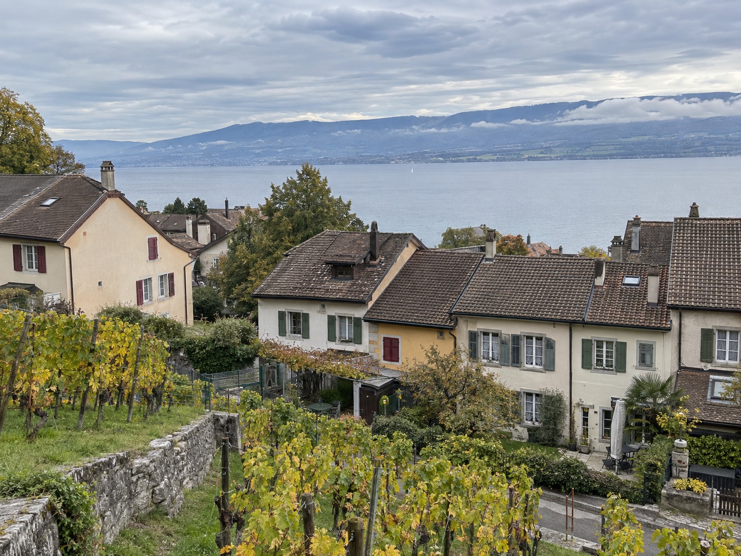 Maison près des vignes avec vue sur le lac — Vignes au premier plan, Lac en arrière-plan